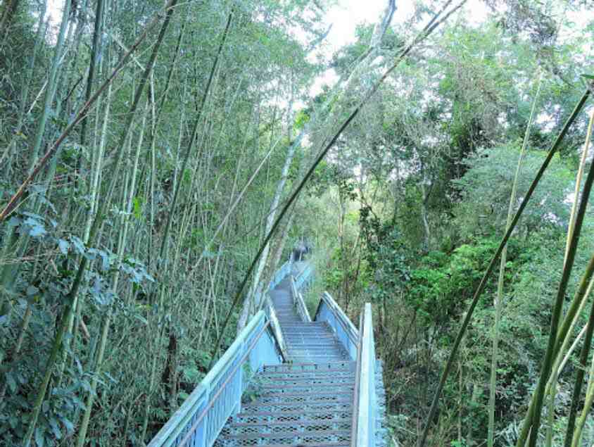 雙龍部落-天時棧道