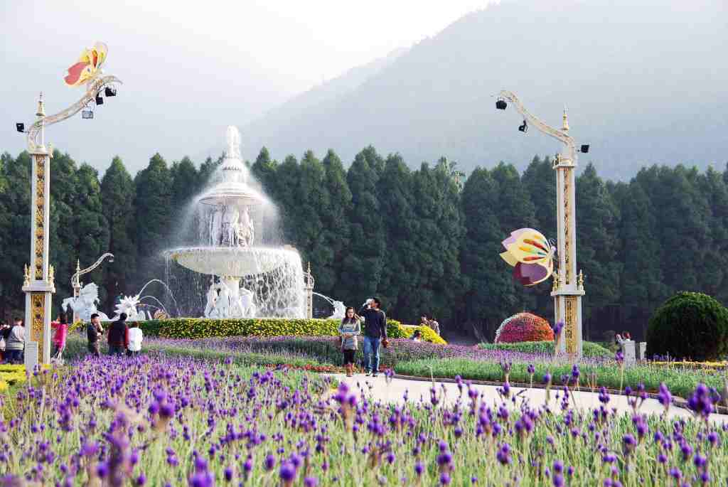 阿里山天氣 櫻花季,阿里山森林遊樂區怎麼玩,阿里山遊客中心, 阿里山小火車票價2023, 阿里山遊樂區, 阿里山遊園車, 阿里山森林遊樂區門票, 阿里山交通, 阿里山門票免費2023, 嘉義火車站到阿里山多久, 阿里山小火車怎麼玩, 阿里山森林遊樂區門票費用, 阿里山門票2023, 阿里山步道, 阿里山電動遊園車, 阿里山門票, 阿里山國家森林遊樂區門票, 阿里山國家公園門票, 阿里山門票優惠, 國家森林遊樂區免費入園2023, 阿里山交通, 阿里山門票100元, 阿里山小火車票價, 阿里山国家风景区票券資訊, 阿里山門票費用, 阿里山國家森林遊樂區門票, 阿里山森林遊樂區介紹, 阿里山森林遊樂區地圖, 森林遊樂園, 香林神木, 阿里山在哪裡, 阿里山介紹, 阿里山停車場, 阿里山遊園車時刻表, 阿里山國家森林遊樂區住宿, 阿里山賓館住宿費用, 沼平車站, 沼平公園, 阿里山地圖, 阿里山國家森林遊樂區評論, 阿里山森林遊樂區門票, 阿里山國家森林遊樂區alishannationalforestrecreationarea相片, 阿里山門票價格, 阿里山森林遊樂區門票免費, 阿里山遊樂區門票, 阿里山門票資訊, 阿里山森林遊樂區小火車, 阿里山森林遊樂區售票時間, 阿里山現在幾度, 阿里山園區地圖, 阿里山步道地圖, 阿里山森林遊樂區住宿, 阿里山路線, 姊妹潭, 墾丁國家森林遊樂區相片, 姐妹潭, 台灣好型阿里山, 阿里山園區, 阿里山國家森林遊樂區相片, 阿里山門票多少錢, 阿里山神木步道, 阿里山國家風景區票券資訊, 阿里山森林, 阿里山入園門票, 阿里山在哪, 阿里山入園時間, 如何去阿里山, 迷糊步道來回多久, 森林旅遊, 阿里山賓館套裝行程, 阿里山商店街必吃, 果然茶香觀光園區|嘉義觀光推薦|親子景點|親子diy|手作體驗|嘉義觀光園區|阿里山評論, 阿里山遊園車, 神木車站, 阿里山古道, 太平山門票多少錢, 阿里山站, 阿里山車票, 火車套票, 阿里山國家森林遊樂區alishannationalforestrecreationarea門票, 阿里山住宿要門票嗎, 阿里山爬山, 阿里山套票, 阿里山停車, 嘉義幾度, 坐火車到阿里山, 香林, 阿里山國家森林遊樂區alishannationalforestrecreationarea評論, 阿里山森林遊樂區一日遊, 巨木群棧道, 阿里山門票優惠2023, 阿里山電子門票, 森林好好玩購票網站, 森林園區, 阿里山接駁車地點, 阿里山神木步道時間, 阿里山國家風景區, 8xu3g0, 阿里山電動遊園車時刻表, 嘉義森林步道, 阿里山遊客中心停車場, 嘉義慈雲寺, 神木群, 阿里山遊樂園區, 阿里山國家森林遊樂區alishannationalforestrecreationarea, 阿里山票價, 阿里山森林遊樂區門票優惠, 阿里山国家森林游乐区, 阿里山門票免費, 森林遊樂區推薦, 阿里山国家风景区, 阿里山停車費, 嘉義火車站到阿里山票價, kkday阿里山門票, 阿里山停車, 阿里山遊記, 啊里山賓館, 森林樂園, 森林國家公園, 新楓之谷阿里山攻略, 阿里山電動遊園車費用, 阿里山步道規劃, 阿里山景點步道, 不要走森林裡的樓梯, 台灣阿里山, 奮起湖到阿里山森林遊樂區, 阿里山神木車站, 阿里山遊園車路線, 阿里山步道路線, 阿里山國家森林遊樂區住宿, 阿里山門票klook, 香林露營區, 南投阿里山, 加橋森林, 楓之谷阿里山怎麼去, 阿里山遊園路線, 阿里山森林公園, 阿里山神木群, 阿里山巨木群棧道, 阿里山園區門票, 住阿里山賓館要買門票嗎, 櫻宮姐妹, 阿里山親子行程, 阿里山神木線, 阿里山一日遊套裝行程, 阿里山巨木, 阿里山森林遊樂區停車場, 阿里山下雪2023, 阿里山遊園車一日券, 如何到阿里山, klook阿里山門票, 阿里山介紹, 水山巨木步道門票, 阿里山現在溫度幾度, 阿里山路線, 山裡日紅, 阿里山適合幾月去, 阿里山遊客中心住宿, 艾靈森林怎麼去, 楓之谷阿里山小火車, 阿里山位置, 阿里山爬山, 阿里山車站怎麼去, 嘉義搭火車到阿里山, 森林遊樂區門票, 阿里山小火車票價, 到阿里山, 森林區, 水山巨木怎麼去, 阿里山慈雲寺, 阿里山風景區, 楓之谷阿里山攻略, 阿里山神木步道, 新楓之谷阿里山攻略, 楓之谷阿里山火車, 阿里山國家公園地圖, 阿里山門票24小時, 阿里山營業時間, 阿里山森林遊樂區遊園車, 爬阿里山, 阿里山神木, 沼平線, 阿里山幾度, 阿里山遊樂區地圖, 阿里山爬山行程, 阿里山怎麼走, 阿里山一日遊價格, 阿里山電動遊園車路線, 阿里山電動遊園車一日券, 阿里山門票klook, 國家森林遊樂區有幾個, 塔南森林怎麼去, 台灣森林景點, 去阿里山, 阿里山購票, 阿里山旅客服務中心停車場, 慈雲寺阿里山, 沼平車站開車, 阿里山如何去, 阿里山古道, 遊樂區優惠, 阿里山車站, 火車到阿里山, 分多精, 阿里山森林遊樂園區, 阿里山森林遊樂園, 神木步道, 阿里山免門票, 啊里山, 國家公園免費入園, 阿里山國家森林遊樂區, 阿里山國家, 森林風景, 森林景點, 阿里山住宿門票, 森林風景, 阿里山, 台東森林公園門票多少錢, 台灣好行阿里山門票, 阿里山森林遊樂區, 阿里山門票, 阿里山交通, 阿里山開車怎麼玩2023, 