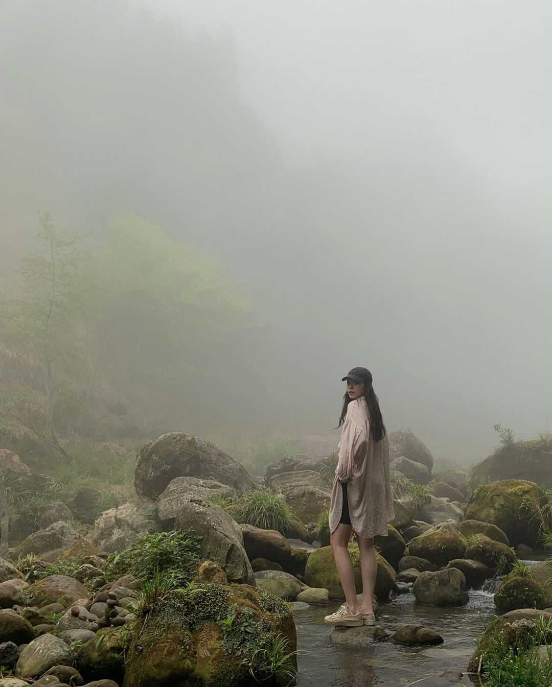 ▸旅遊情報, ▸南投景點, 竹山鎮 南投景點, 推薦, 景點, 杉林溪, 杉林溪, 杉林溪繡球花, 活動, 繡球花季, 花季 2022