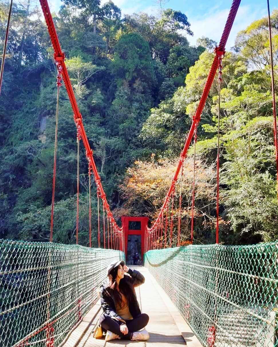 杉林溪森林生態渡假園區 ｜九九吊橋 杉林溪