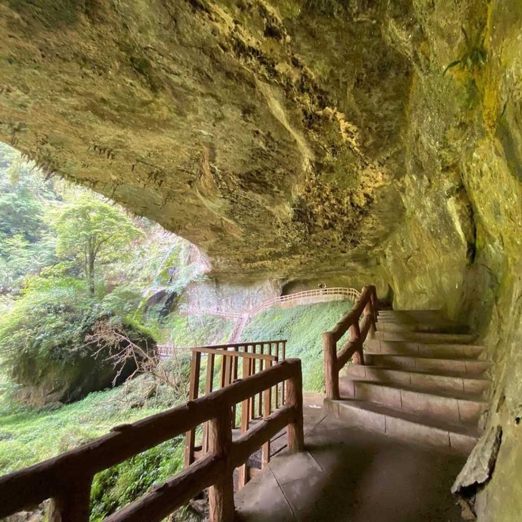 溪頭旅遊軸 南投溪頭旅遊軸｜探訪竹山、鹿谷、溪頭沿線生態之美 8 2023