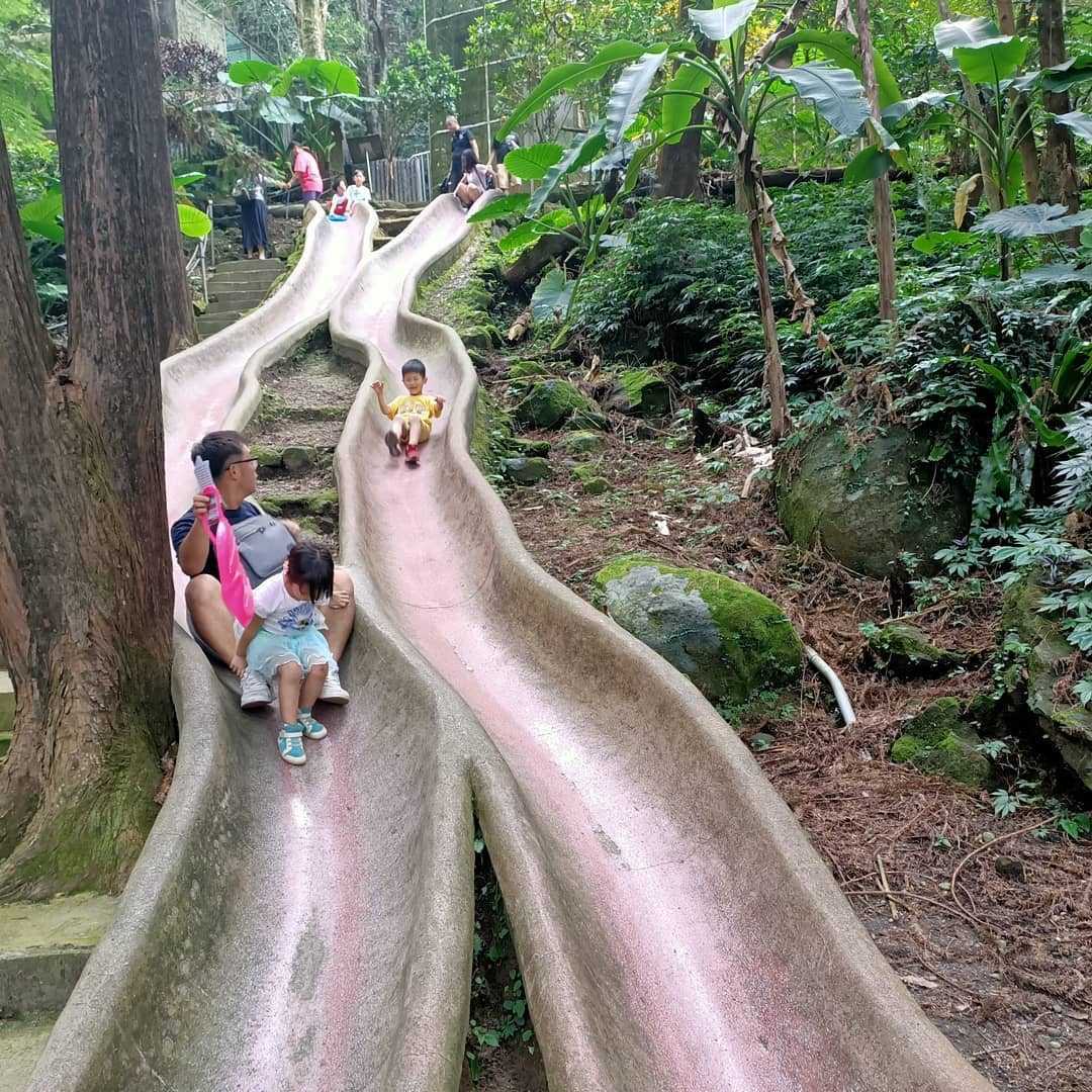 鳳凰谷鳥園生態園區 森林溜滑梯