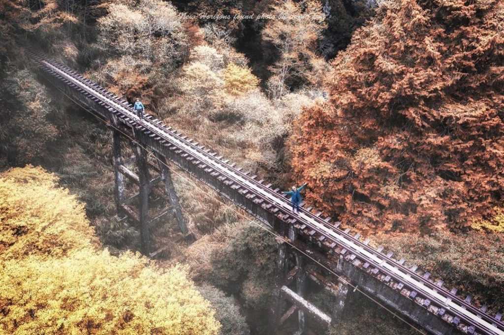 阿里山景點推薦,眠月線原為阿里山鐵路支線之一的【眠月線】，路線由「阿里山車站」出發，一路到「石猴站」，全長雖然只有短短9.2公里，但沿途卻有多達12個隧道及24條高空橋樑，而在921大地震後因多處重創坍塌，無法再恢復行駛，從此成為與世隔絕的一條祕徑登山路線。無論是原始的鐵道樣貌、隧道、橋樑等至今依然保持原貌，比起火車行走，以徒步健行踏上這條線更能說停就停，看到更多眠月線沿途的迷人景致，包含猶如龐貝古城「明隧道」、木造岸式月台的「塔山車站」、沿途的多處鐵橋、還有多數朋友選擇扎營的終點「石猴車站」，都是令你聲聲驚嘆的絕景！