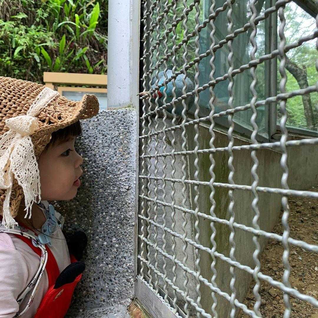 鳳凰谷鳥園生態園區｜親禽園