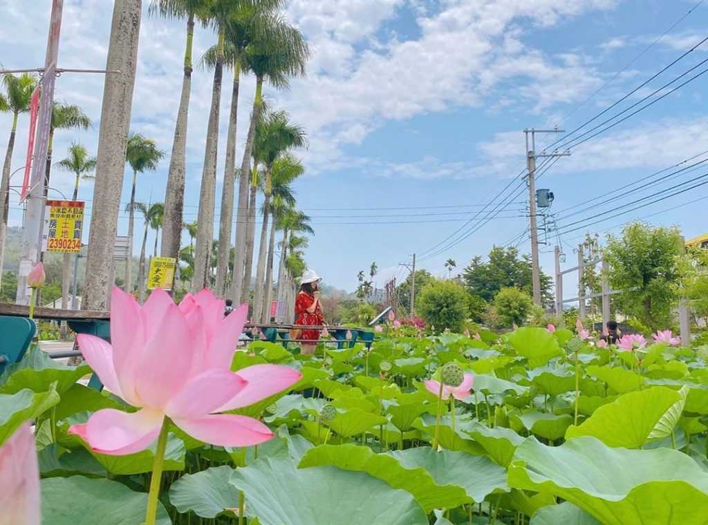 南投景點推薦 ：中興新村 中興新村蓮花池 南投旅遊景點 2021 南投秘境景點 南投私房景點 南投打卡景點 南投新景點 南投一日遊行程 2021景點