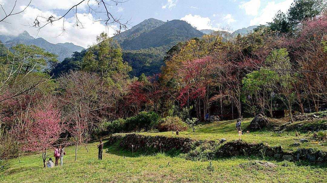 台中八仙山 鄰近谷關的森林秘境 八仙山森林遊樂區一日遊路線推薦 好好玩台灣2021