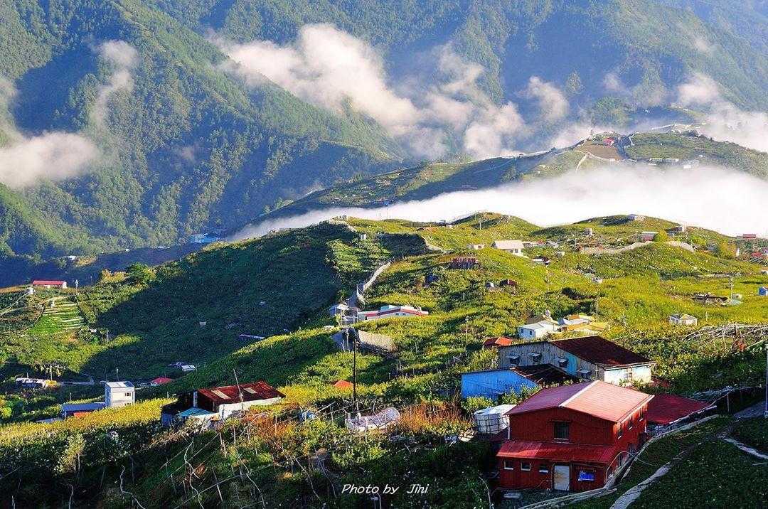 中橫公路雲海 最新下雪攻略及注意事項 帶你一起漫步在雲端 推薦中橫公路雲海秘境 好好玩台灣2021