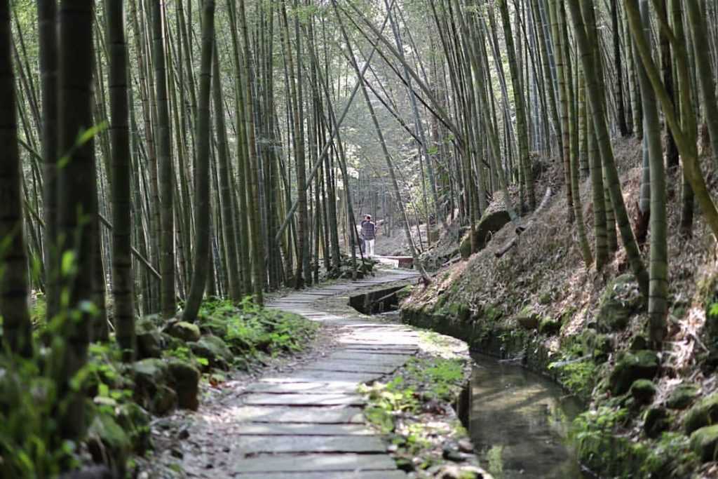 南投鹿谷小半天 孟宗竹林古戰場 長源圳古道 德興瀑布一日遊推薦 好好玩台灣2021