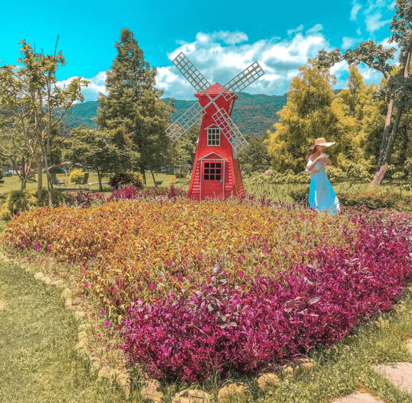 南庄老街景點特蒐 雲水度假森林,南庄景點,苗栗南庄景點, 南庄一日遊, 南庄老街附近景點, 南庄私房景點, 南庄景點地圖, 南庄景點美食, 南庄親子景點, 南庄附近景點, 苗栗南庄景點地圖, 南庄景點推薦, 苗栗南庄二日遊, 泰安南庄景點, 南庄秘境景點, 南庄落羽松莊園, 南庄老街景點, 南庄好玩, 苗栗南庄一日遊, 南庄老街一日遊, 南庄一日遊行程, 南庄二日遊, 南庄兩天一夜, 苗栗南庄室內景點, 苗栗南庄附近景點, 苗栗景點南庄, 南庄旅遊景點, 南庄景点, 南庄好玩的地方, 南庄螢火蟲景點, 南庄行程, 南庄旅遊地圖, 南庄風景區, 南庄景點2023, 南庄推薦景點, 南庄老街攻略, 南庄一日, 南庄台灣好行一日遊, 南庄2日遊, 新竹南庄景點, 苗栗南庄親子景點, 南庄景點一日遊, 苗栗景點南庄老街, 苗栗南庄兩天一夜, 南庄景點向天湖, 南庄賞櫻景點, 苗栗南庄老街交通, 南庄半日遊, 南庄兩日遊, 南庄老街附近, 苗栗南庄好玩, 南庄旅遊規劃, 南庄附近的景點, 苗栗南庄旅遊景點, 南庄苗栗景點, 南庄一日遊路線, 苗栗一日遊南庄, 南庄一日遊推薦, 苗栗縣南庄景點, 南庄遊,