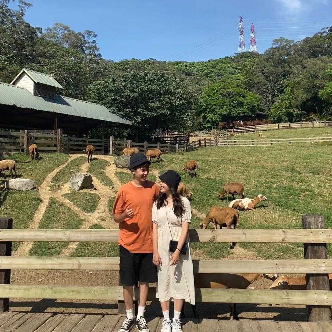 飛牛牧場 苗栗通宵《飛牛牧場》門票優惠、農莊體驗、住宿推薦攻略一篇搞定！ 1 2023