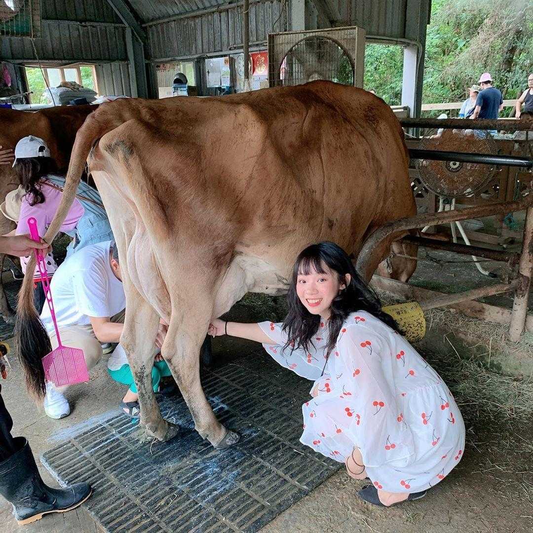 飛牛牧場 苗栗通宵《飛牛牧場》門票優惠、農莊體驗、住宿推薦攻略一篇搞定！ 7 2023