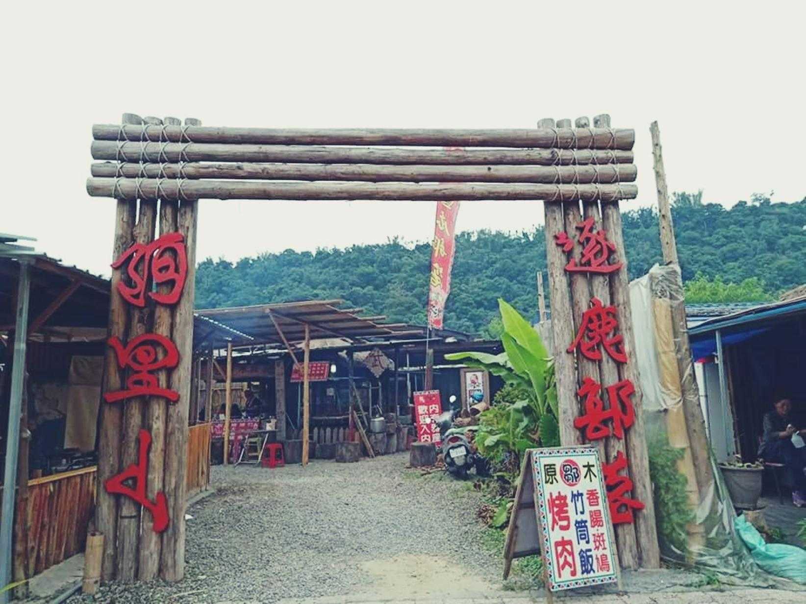 阿里山玩什麼 梅花鹿餵食體驗 製茶體驗 來阿里山通通玩得到 好好玩台灣22