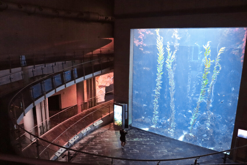 台灣水族館、海洋館、海生館