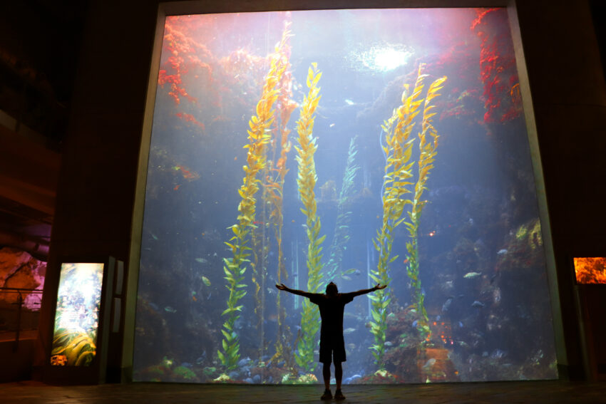 台灣水族館、海洋館、海生館