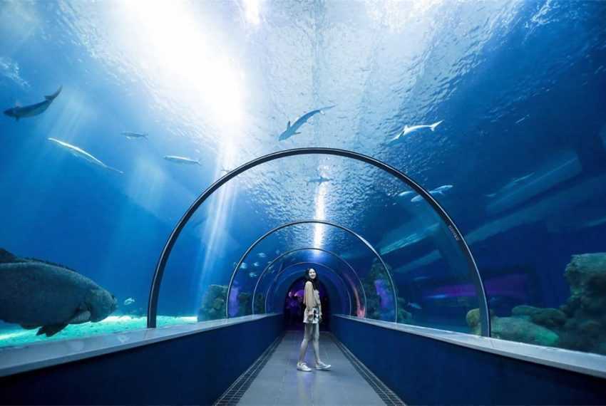 全台水族館攻略 全台5 座水族館你都去過嗎 從北到南 從東到離島 全民一起瘋水族館 好好玩台灣21