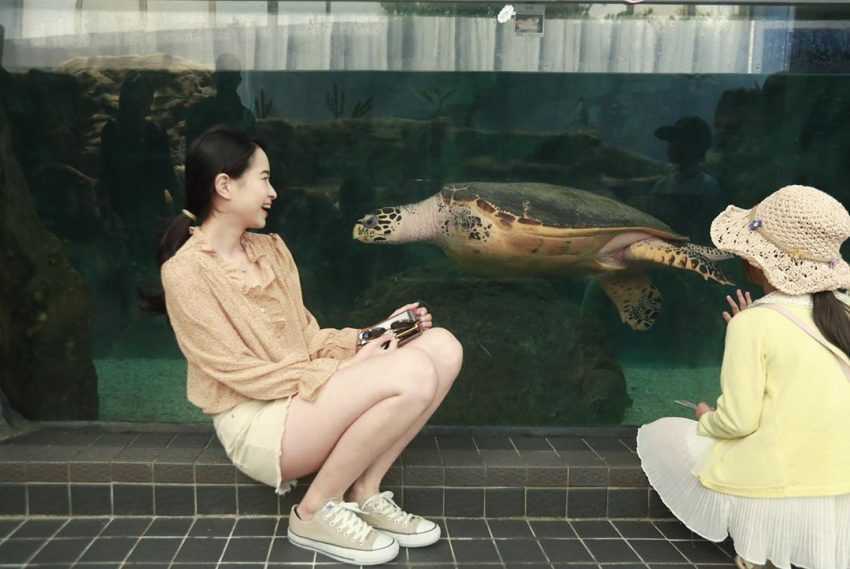 台灣水族館、海洋館、海生館《澎湖》澎湖水族館