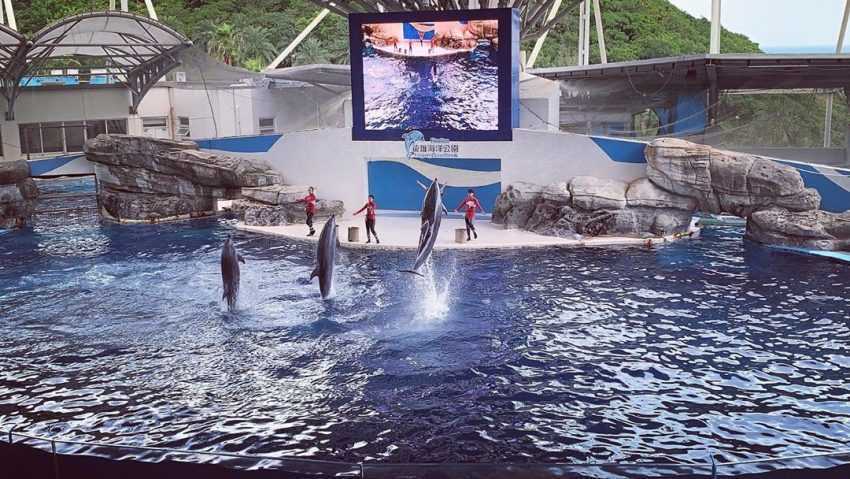 台灣水族館、海洋館、海生館 遠雄海洋公園