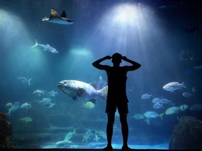 台灣水族館、海洋館、海生館