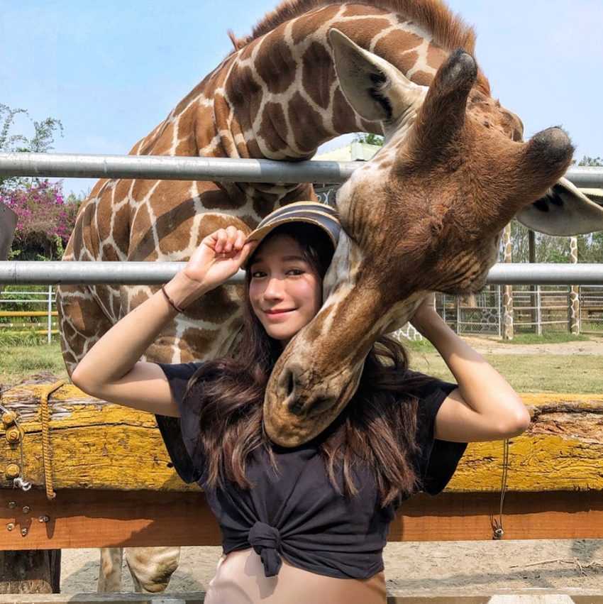 來到南台灣最大的野生動物園「頑皮世界野生動物園」這個台南親子景點，除了有來自全球五大洲的野生動物，動物種類很多，幾乎都可以近距離接觸餵食，另外還有兒童遊戲區及頑皮劇場等，很適合親子同遊來台南旅遊。園區裡人氣最旺的就是水豚了，想更近距離接觸水豚的話，只要提前一日私訊【頑皮世界野生動物園】粉絲專頁預約，就可以親自餵食水豚，幫水豚按摩及零距離拍照，要注意現場是無法報名的喔！台南景點,台南親子景點,台南好玩私房景點,台南夜晚景點,台南景點2022,台南秘境景點,台南室內景點,台南好玩,台南新景點,台南景點一日遊,台南晚上景點,台南網美景點,新營景點,安平景點,台南市區景點,台南旅遊景點,臺南景點,台南2022景點,台南郊區景點,台南戶外景點,台南私房景點,台南好玩的地方,台南景點室內,台南中西區景點,麻豆景點,台南火車站附近景點,台南兩天一夜,台南四草綠色隧道,台南美食景點,台南山區景點,台南晚上好去處,台南市景點,關廟景點,學甲景點,台南安平景點,台南綠色隧道,台南景點親子,台南一日遊景點,台南景點推薦,官田景點,台南三天兩夜,柳營景點,台南拍照景點,台南東區景點,台南景點地圖,台南哪裡好玩,台南好去處,歸仁景點,台南必去景點,台南觀光景點,台南永康景點,佳里景點,台南晚上隱藏景點,台南私房景點10路線任遊,台南推薦景點,台南風景區,台南景點dcard,台南有什麼好玩的,大目降文化園區,仁德景點,台南好玩的,台南車站附近景點,台南景點2023,台南地圖景點,台南旅遊地圖,台南户外景點,台南四草綠隧道,台南親子景點免費,台南晚上娛樂,台南私房景點dcard,台南好玩景點,台南海邊景點,台南夜晚好去處,台南國華街附近景點,西港景點,台南冷氣景點,台南室內親子,台南玩水公園,新營景點一日遊,安平室內景點,台南約會行程,台南室內活動,台南遊樂景點,佳里景點推薦,台南七股遊客中心,台南有冷氣的地方,台南機車景點,官田附近景點,台南室內景點親子,台南白天景點,台南到墾丁沿途景點,台南市好玩的地方,台南西拉雅國家風景區,台南海岸景點,台南美食景點推薦,學甲私房景點,學甲私房景點,台南景點,台南一日遊,台南好玩,台南連假,台南去哪玩,台南景點推薦, 台南景點推薦, 台南頑皮世界野生動物園