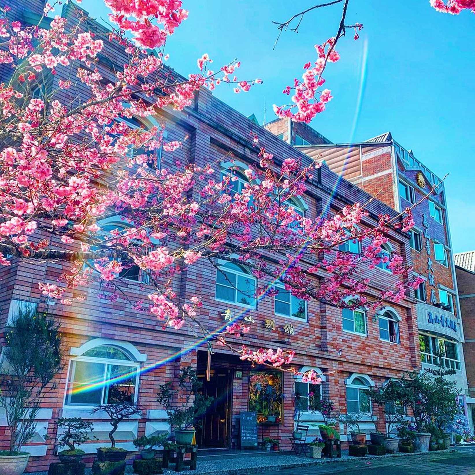 阿里山住宿 青山別館