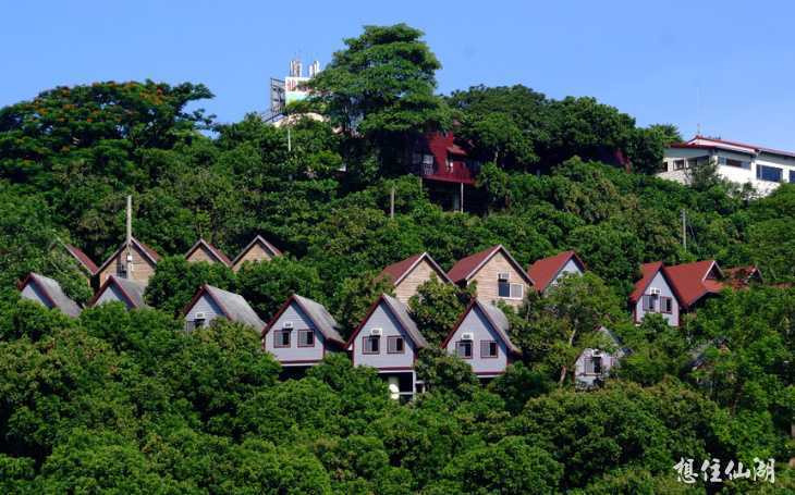 台南最美住宿 東山仙湖農場 隱居山林的無邊際泳池 180度迎山日式房型 來美麗農莊泡杯茶吧 好好玩台灣2021