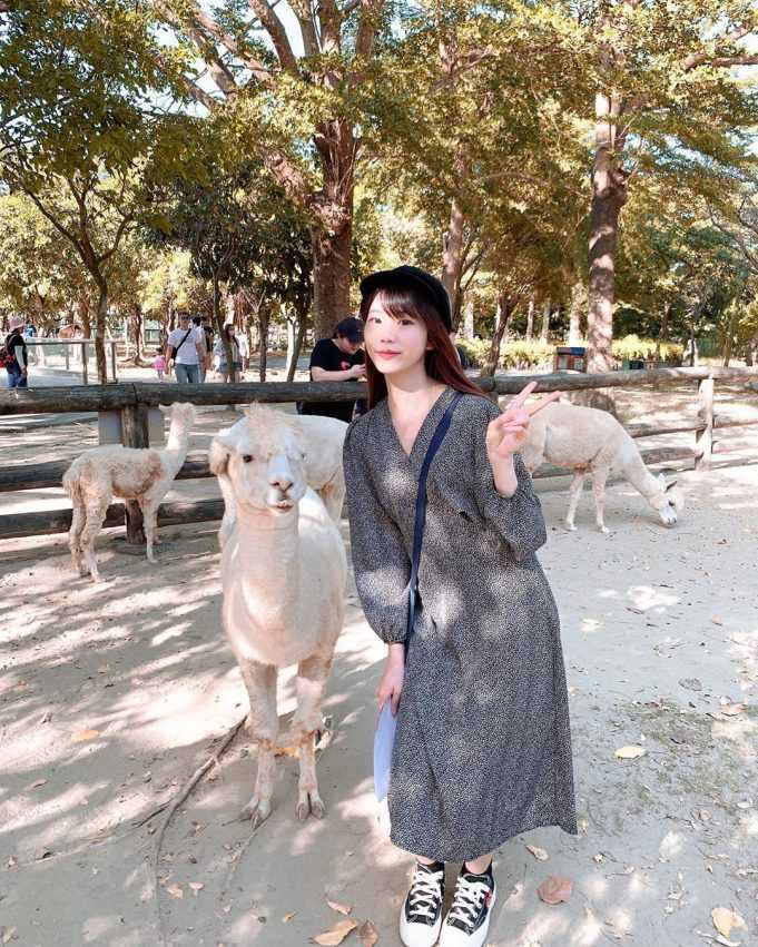 避暑景點 台南親子景點｜頑皮世界野生動物園攻略，水豚長頸鹿互動、門票優惠、交通停車、必看劇場、遊樂設施資訊攻略 12 2023