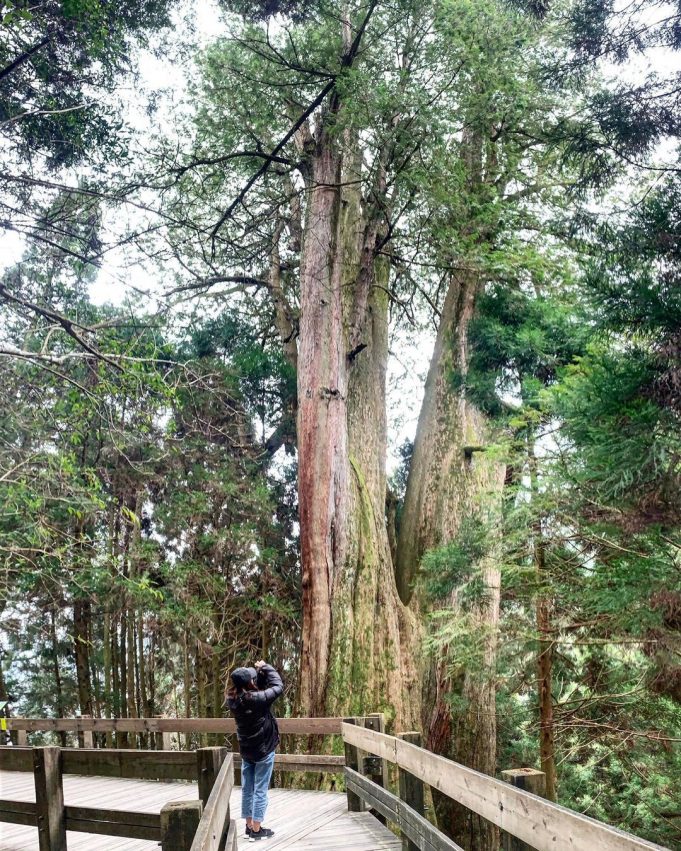 苗栗景點, 苗栗, 苗栗一日遊, 竹南, 頭份, 苗栗親子景點, 三灣落羽松, 天空之城苗栗, 苗栗老街, 苗栗地圖, 苗栗天空之城, 向天湖, 苑裡景點, 苗栗景點2022, 通霄, 頭份景點, 竹南景點, 南庄景點, 苗栗採草莓, 通霄景點, 苗栗室內景點, 卓蘭景點, 苗栗鐵道自行車, 後龍好望角, 獅潭老街, 苗栗新景點, 苗栗夜景, 苗栗免費景點, 竹南運動公園, 南莊, 南庄美食, 苗栗南庄, 苗栗景觀餐廳, 苗栗卓也小屋, 苗栗公館, 苗栗秘境, 崎頂子母隧道, 後龍景點, 苗栗旅遊, 苗栗落羽松, 苗栗名產, 泰安景點, 苗栗好玩, 苗栗農場, 苗栗仙山, 苗栗舊山線鐵道自行車, 苗栗步道, 苗栗大湖, 苗栗景點地圖, 苗栗觀光工廠, 苗栗泰安, 苗栗親子, 苗栗花露農場, 苗栗南庄景點, 苗栗戶外景點, 苗栗綠意山莊, 苗栗南庄老街, 苗栗自然圈, 苗栗好望角, 頭份尚順, 苗栗苑裡, 南庄老街美食, 苗栗火炎山, 苗栗三義景點, 螢火蟲苗栗, 苗栗客家文化園區, 苗栗公園, 苗栗景點親子, 苑里, 苗栗海邊, 苗栗銅鑼, 苗栗尚順, 獅潭, 苗栗三義, 苗栗頭份, 苗栗山上景點, 苗栗大湖草莓, 苗栗縣地圖, 苗栗私房景點, 苗栗後龍, 苗栗市景點, 苗栗公館景點, 苗栗尚順育樂世界, 苗栗櫻花, 苗栗兩天一夜, 泰安老街, 苗栗勝興車站, 苗栗虎山, 苗栗莫內花園, 苗栗龍騰斷橋, 苗栗爬山, 苗栗三灣落羽松, 苗栗腳踏車, 苗栗特產, 苗栗油桐花, 苗栗親子餐廳, 苗栗海線景點, 苗栗香格里拉, 苗栗哈比丘, 苗栗薑麻園, 苗栗通霄, 卓蘭大峽谷, 苗栗一日遊推薦, 苗栗神仙谷, 三灣景點, 苗栗南莊老街, 勝興火車站, 苗栗卓蘭, 苗栗竹南, 苗栗美食景點, 苗栗銅鑼景點, 苗栗客家大院, 苗栗推薦景點, 苑里景點, 勝興老街, 苗栗九華山, 頭份後花園, 苗栗玩水, 苗栗親子公園, 苗栗登山步道, 苗栗自行車道, 苗栗火車站附近景點, 苗栗螢火蟲, 苗栗通霄景點, 苗栗落羽松秘境, 苗栗銅鑼美食, 苑裡老街, 苗栗旅遊景點, 苗栗協雲宮, 苗栗銅鑼杭菊, 苗栗牧場, 苗栗莊園, 苗栗漁港, 苗栗莫內秘密花園, 貓裏喵親子公園, 頭份老街, 苗栗特色館, 竹南公園, 通霄落日大道, 後龍鎮半天寮休閒文化園區好望角, 獅潭協雲宮, 苗栗縣三義鄉, 苗栗必去, 苗栗大湖景點, 苗栗泰安景點, 三灣落羽松2022現況, 苗栗向天湖, 苗栗格林奇幻森林, 南莊景點, 苗栗景點推薦, 苗栗山, 苗栗豆腐街, 苗栗百貨公司, 苗栗獅潭, 苗栗溜滑梯, 苗栗二日遊, 苗栗三灣, 新竹苗栗景點, 苗栗遊樂園, 苗栗好玩的地方, 苗栗自行車, 新竹苗栗一日遊, 好望角苗栗, 苗栗加里山, 苗栗橙香森林, 苗栗頭份景點, 苗栗海邊秘境, 苗栗西湖, 泰安豆腐街, 苗栗三義老街, 苗栗網美景點, 南莊美食, 苗栗騎腳踏車, 頭屋景點, 苗栗活動, 苗栗寵物景點, 苗栗桐花, 苗栗客家圓樓, 苗栗水庫, 苗栗獅頭山, 苗栗雅聞觀光工廠, 苗栗一日遊天空之城, 苑裡綠意山莊, 苗栗繡球花, 苗栗小百岳, 苗栗晚上景點, 苗栗桌也小屋, 苗栗杭菊, 苗栗採橘子, 苗栗福樂麵店, 苗栗斷橋, 苗栗哪裡好玩, 苗栗苑裡景點, 苗栗風景區, 苗栗後龍景點, 苗栗景點車站, 向天湖步道, 造橋景點, 苗栗卓蘭老街, 頭份品園, 苗栗避暑景點, 苑裡出水沙灘, 頭屋雅聞, 頭份運動公園, 苗栗景點莊園, 苗栗苑裡紫薇花園, 苗栗特色, 苗栗功維敘隧道, 勝興鐵道自行車, 獅潭景點, 苗栗空中腳踏車, 南庄老街必吃, 苗栗夜景餐廳, 苗栗拍照景點, 南庄老街附近景點, 苗栗天空步道, 苗栗縣景點, 三灣落羽松秘境, 苗栗山區景點, 三灣落羽松莊園, 南庄一日遊, 苗栗賞櫻, 苗栗登山, 苗栗地圖景點, 景點苗栗, 苗栗城堡, 苗栗樂園, 苗栗觀光景點, 苗栗故事館, 苗栗品園, 苗栗景點一日遊, 苗栗杭菊2022, 獅潭仙山, 苗栗景點天空之城, 竹南啤酒觀光工廠, 苗栗桂花巷, 苗栗好玩景點, 苗栗好去處, 苗栗客家文化館, 苗栗親子農場, 苗栗有什麼好玩的, 竹南海邊, 苗栗三灣景點, 竹南火車站附近景點, 苗栗三灣天空步道, 苗栗落羽松莊園, 苗栗diy, 苗栗水豚, 苗栗銅鑼莫內秘密花園, 苗栗一日遊景點, 苗栗大湖酒莊, 苗栗馬拉邦山, 苗栗天空之城門票, 苗栗金針花, 苗栗油桐花2022, 苑裡新景點, 苗栗鐵道, 苗栗頭屋, 苗栗日新島, 苗栗賞花, 苗栗舊山線, 苗栗客家文化園區介紹, 苗栗薰衣草森林, 苗栗客家, 苗栗櫻花景點, 苗栗野餐, 竹南假日之森, 苗栗竹林, 苗栗後龍好望角, 苗栗南庄美食, 苗栗水豚君, 苗栗老街推薦, 獅潭仙草花節, 苗栗火車一日遊, 苗栗景觀咖啡廳, 苗栗造橋, 苗栗玫瑰園, 苗栗老街有哪些, 南庄老街必買, 苗栗2天一夜, 苗栗三天兩夜, 苗栗烏嘎彥竹林, 苗栗室內親子景點, 苗栗竹南景點, 苗栗車站景點, 獅潭鄉, 苗栗雨天備案, 苗栗銅鑼燒, 後龍海邊, 苗栗公館老街, 泰安火車站附近景點, 苗栗虎山步道, 苗栗夜景泡腳, 通霄美食秘境, 苗栗行程, 苗栗新竹景點, 苗栗玩, 苗栗仙山步道, 泰安溫泉景點, 苗栗市區景點, 南庄私房景點, 苗栗一日遊不開車, 苗栗室內, 苗栗觀光, 苗栗橘子園, 苗栗採草莓一日遊, 苗栗古道, 苗栗玩水秘境, 苗栗華陶窯, 苗栗親子步道, 苗栗卓蘭景點, 苗栗苑裡綠意山莊, 竹南一日遊, 苗栗西湖景點, 苗栗好玩的, 苗栗雲海, 南庄老街交通, 苗栗特色公園, 苗栗天空之城菜單, 苗栗海洋觀光季, 苗栗自然景點, 苗栗景点, 苗栗大湖採草莓, 苗栗明德水庫, 苗栗花季, 苗栗半日遊, 苗栗雅聞, 苗栗動物農場, 苗栗大湖私房景點, 苗栗公館私房景點, 苗栗炮仗花, 苗栗花海, 苑裡景點美食, 苗栗泡腳, 卓蘭私密景點, 苗栗通霄海水浴場, 公館福樂麵店, 新竹苗栗, 苗栗瀑布, 竹南秘境, 苗栗溫泉蛋, 苗栗咖啡莊園, 苗栗走春, 頭份景點2022, 西湖老街, 薰衣草森林苗栗, 苗栗博物館, 苗栗縣大湖鄉, 苗栗休閒農場, 苗栗附近景點, 苗栗咖啡廳山上, 落羽松苗栗, 苗栗網美餐廳, 南庄景點地圖, 苗栗動物園, 好望角後龍, 苗栗的山, 苗栗森林步道, 泰安一日遊, 苗栗旅遊地圖, 苗栗紫藤花, 苗栗獅山親子公園, 苗栗必買特產, 南庄花卉節, 卓蘭一日遊, 苗栗步道秘境, 竹南頭份景點, 苗栗哈比屋, 苗栗龍鳳漁港, 苗栗山上, 苗栗彈珠汽水工廠, 苗栗免費景點2022, 三灣一日遊, 苗栗關刀山, 苗栗大湖薑麻園, 苗栗晚上, 苗栗山區, 苗栗柿餅, 南庄老街餐廳, 苗栗庭園餐廳, 苗栗薰衣草, 苗栗三義卓也小屋, 苗栗風景, 南庄景點美食, 苑裡私房景點, 竹南衝浪, 苗栗茶廠, 苗栗避暑, 苗栗花, 苑裡一日遊, 苗栗汶水老街, 南庄老街美食2022, 苗栗景點dcard, 苗栗山上秘境, 卓蘭景點美食, 採橘子苗栗, 苗栗頭份老街, 苗栗室內遊樂場, 苗栗幸福農場, 苗栗菊花, 泰安煮蛋, 苗栗海邊景點, 頭份免費景點, 苗栗獅潭老街, 客家文化館苗栗, 苗栗百貨, 苗栗雪霸國家公園, 苗栗兩日遊, 苗栗古蹟, 苗栗步道推薦, 苗栗市內景點, 苗栗沙灘, 苗栗海線, 苗栗漫步雲端, 苗栗育樂世界, 苗栗火車站景點, 苗栗台中親子景點, 苗栗橘子, 苗栗頭屋景點, 苗栗新中橫, 竹南啤酒廠附近景點,國家森林遊樂區,觀霧國家森林遊樂區,國家公園,雪霸休閒農場, 森林遊樂區, 國家森林遊樂區, 森林好好玩, 明池國家森林遊樂區, 向陽森林遊樂區, 太魯閣遊客中心, 國家公園申請, 向陽國家森林遊樂區, 雙流瀑布, 溪頭國家森林遊樂區, 太平山門票買一送一, 雪霸休閒農場適合去的月份, 國家公園法, 藤枝國家公園, 太魯閣國家公園管理處, 雪見遊客中心, 雪山國家公園, 雪見國家公園, 雪霸休閒農場穿著, 明池森林遊樂區門票, 新威遊客中心, 玉山管理處, 雪見步道, 馬告國家公園, 16湖國家公園, 雙流瀑布步道, 國家森林公園, 森林遊樂區住宿, 磺嘴山申請, 藤枝預約查詢, 向陽森林遊樂區開放, 雪見森林遊樂區, 雪霸休閒, 明池國家森林遊樂區門票, 藤枝接駁車, 林務局森林遊樂區, 向陽國家森林遊樂區門票, 觀霧山椒魚生態中心, 藤枝國家公園預約, 雪見遊憩區步道, 塔塔加步道難度, 向陽遊樂區, 中部森林遊樂區, 高山型國家公園, 克魯格國家公園, 雪霸休閒農場步道, 雪見遊憩區入山證, 藤枝森林公園, 向陽國家公園, 南橫向陽森林遊樂區, 國家森林遊樂區訂房, 雪霸休閒農場交通, 溪頭國家公園, 太魯閣國家公園遊客中心, 合歡山國家公園, 向陽森林遊樂區住宿, 雪山國家公園申請, 國家公園寵物, 藤枝接駁, 合歡山空拍申請, 太魯閣管理處, 藤枝國家森林公園, 北部森林遊樂區, 森林好好玩買一送一, 向陽國家森林遊樂區官網, 森林國家公園, 雪霸國家公園管理處汶水遊客中心, 美西國家公園, 棲蘭國家森林遊樂區, 太魯閣台地步道, 滿月圓森林遊樂區遊客中心, 國家公園地圖, 森林遊樂, 雪霸國家公園武陵遊客中心, 墾丁國家森林遊樂區遊客中心, 八仙山莊海拔, 汶水公園, 棲蘭國家森林遊樂區售票處, 明池國家森林遊樂區明池神木, 國家公園志工招募2023, 大雪山國家森林遊樂區林業陳列館,