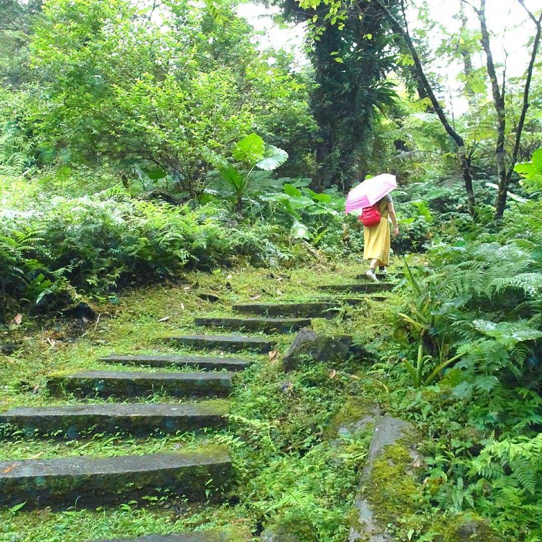 宜蘭鳩之澤溫泉 鳩之澤自然步道