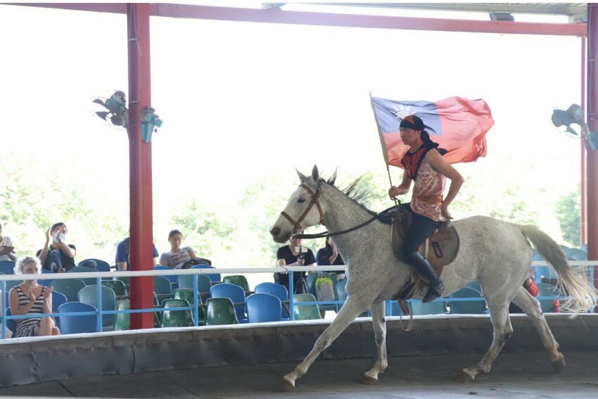 走馬瀨農場 馬術