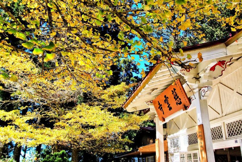 阿里山慈雲寺