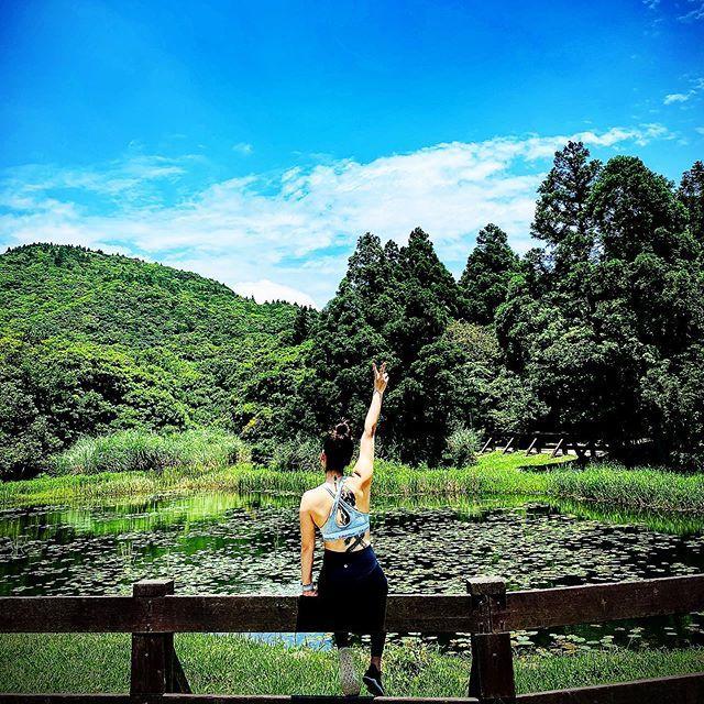 陽明山海芋繡球花季,景點,陽明山景點