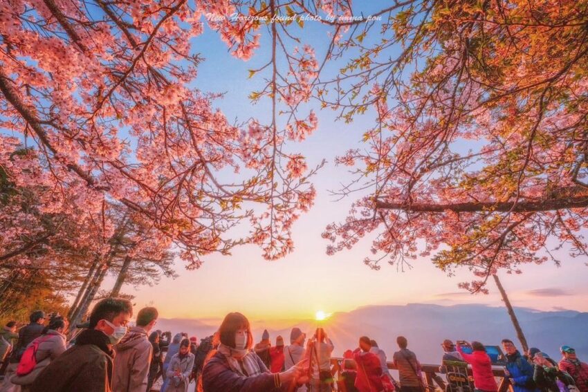 阿里山日出景點 ｜#1 祝山觀日平台