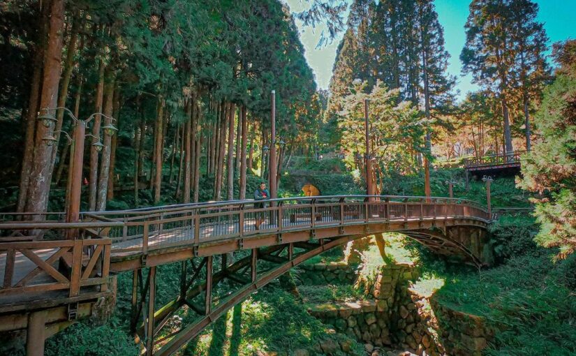 阿里山新八景 嚴選阿里山8 個經典自然美景 神木遺跡 塔山奇岩 神怡流瀑 異國風景 好好玩台灣2021