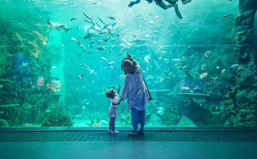 澎湖水族館 探索澎湖海洋生態 澎湖水族館特色 購票資訊 交通攻略 好好玩台灣21