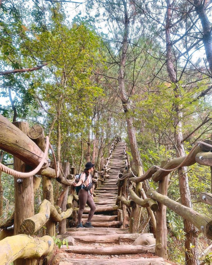 台中登山步道 從親子休閒新手級到台灣百岳挑戰型 8條不同等級台中登山步道推薦 好好玩台灣2021