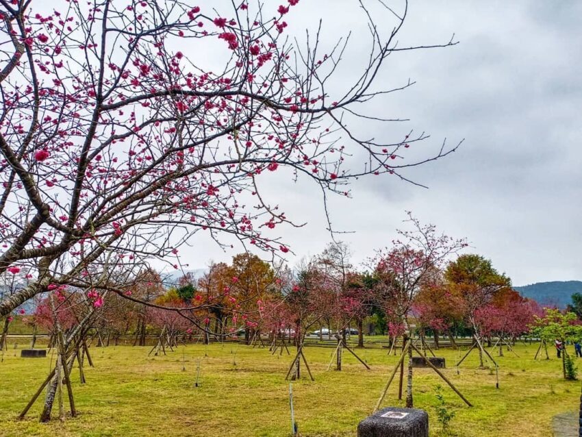 崙埤河濱公園