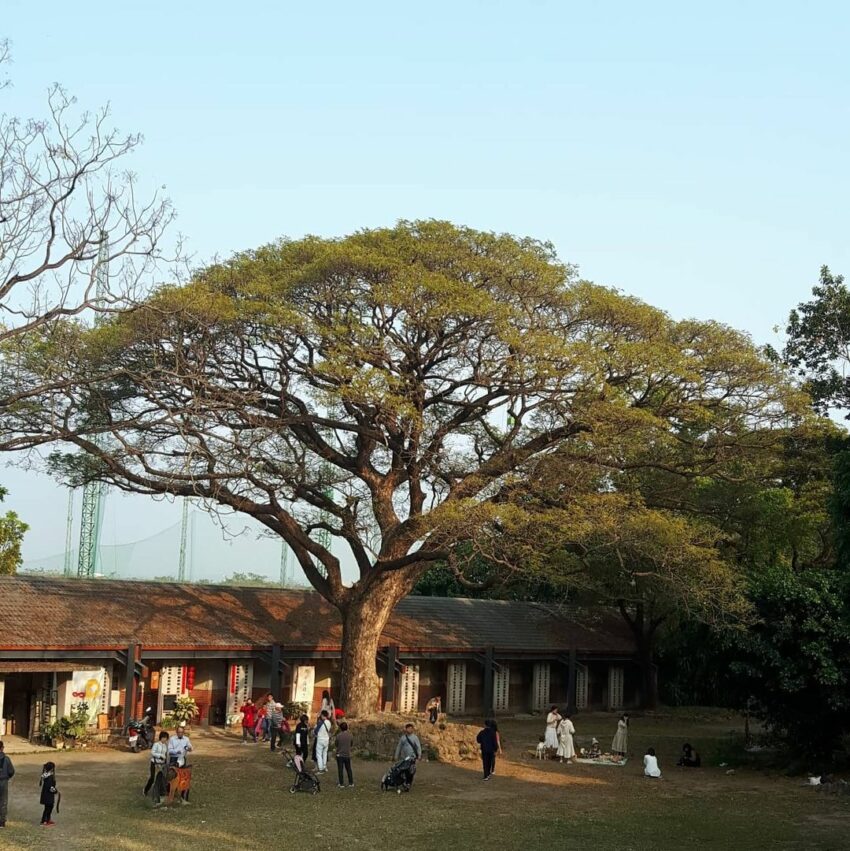 ▸高雄景點, ▸旅遊情報, 景點 五分車, 十鼓仁糖文創園區, 橋頭糖廠, 白屋藝術村, 高雄景點 2022