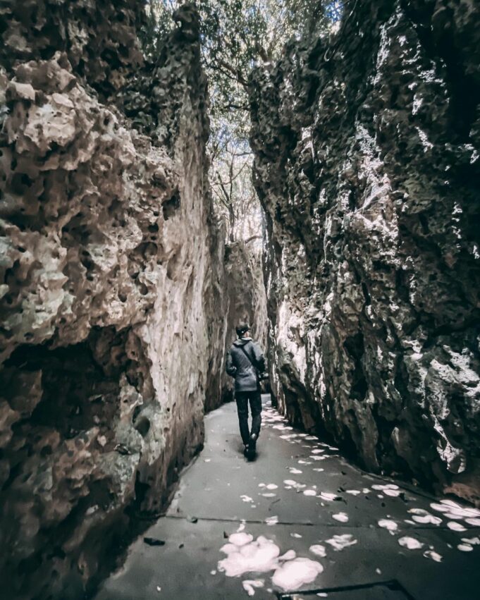 ,避暑景點,避暑勝地, 中部避暑景點, 北部避暑景點, 中部避暑, 北部避暑, 南部避暑, 南部避暑勝地, 北部避暑一日遊, 中部避暑勝地, 北部避暑勝地, 夏天避暑勝地, 中部避暑步道, 避暑好去處, 南部避暑景點, 中部避暑親子, 中部避暑秘境, 夏天避暑景點, 避暑勝地中部, 避暑景點中部, 中南部避暑勝地, 全台避暑景點, 東部避暑, 夏日避暑, 南部避暑秘境, 北部避暑步道, 暑假避暑勝地, 夏日避暑景點, 親子避暑景點, 避暑勝地北部, 避暑一日遊, 夏日避暑勝地, 避暑親子景點, 避暑勝地南部, 避暑景點北部, 夏天山上避暑, 北部夏天避暑, 山上避暑勝地, 山區避暑, 夏天避暑兩天一夜, 全台避暑勝地, 避暑北部, 避暑中部, 2023避暑景點, 北部山上避暑, 桃竹苗避暑勝地, 北部避暑秘境, 暑假避暑景點, 夏日涼爽景點, 南部避暑住宿, 夏季避暑勝地, 附近避暑景點, 夏日避暑旅游, 避暑景點南部, 桃竹苗避暑景點, 寵物避暑勝地, 中部景點避暑, 中部避暑一日遊, 親子避暑勝地, 避暑南部, 北部避暑景點親子, 夏天避暑中部, 高山避暑勝地, 北部高山避暑, 南部山上避暑, 避暑地點, 避暑去處, 避暑勝地住宿, 避暑三天兩夜, 避暑旅遊景點, 中部山上避暑, 夏天避暑北部, 北部山區避暑, 八月避暑, 推薦避暑勝地, 避暑景點推薦, 避暑勝地推薦, 中部山區避暑, 一日遊避暑, 北部避暑地方, 夏天避暑好去處, 山上避暑景點, 中部親子避暑, 7月避暑勝地, 夏日避暑好去處, 北部避暑親子, 北部親子避暑, 夏天渡假勝地, 三天兩夜避暑, 8月避暑勝地, 夏天避暑一日遊, 南部避暑一日遊, 夏日避暑一日遊,