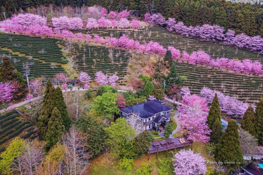 山上人家森林農場