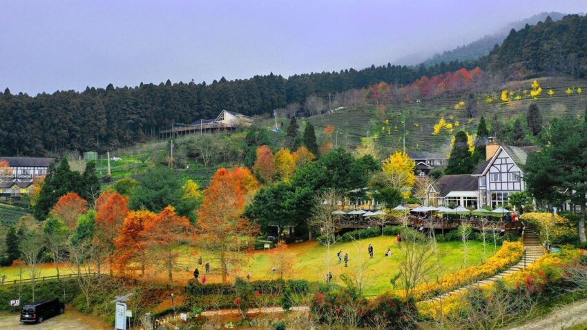 山上人家森林農場