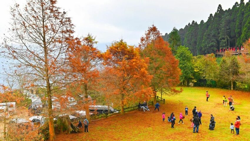 山上人家森林農場