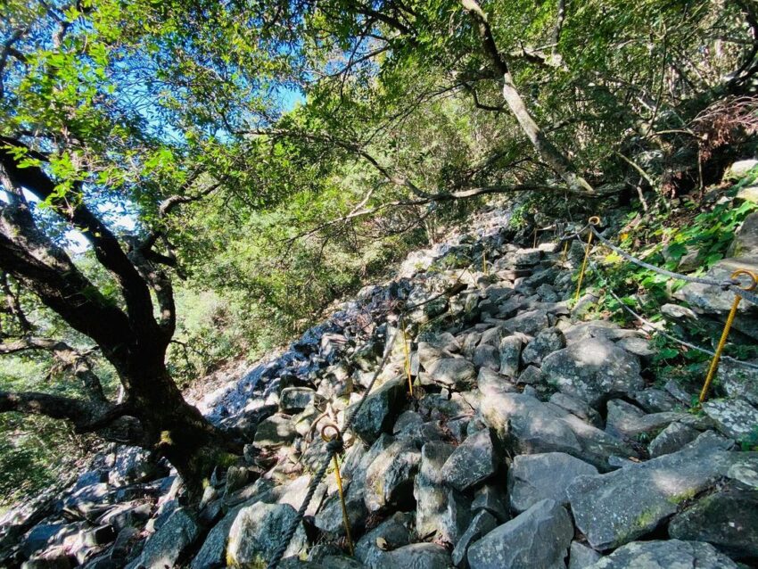 台中登山步道 從親子休閒新手級到台灣百岳挑戰型 8條不同等級台中登山步道推薦 好好玩台灣2021