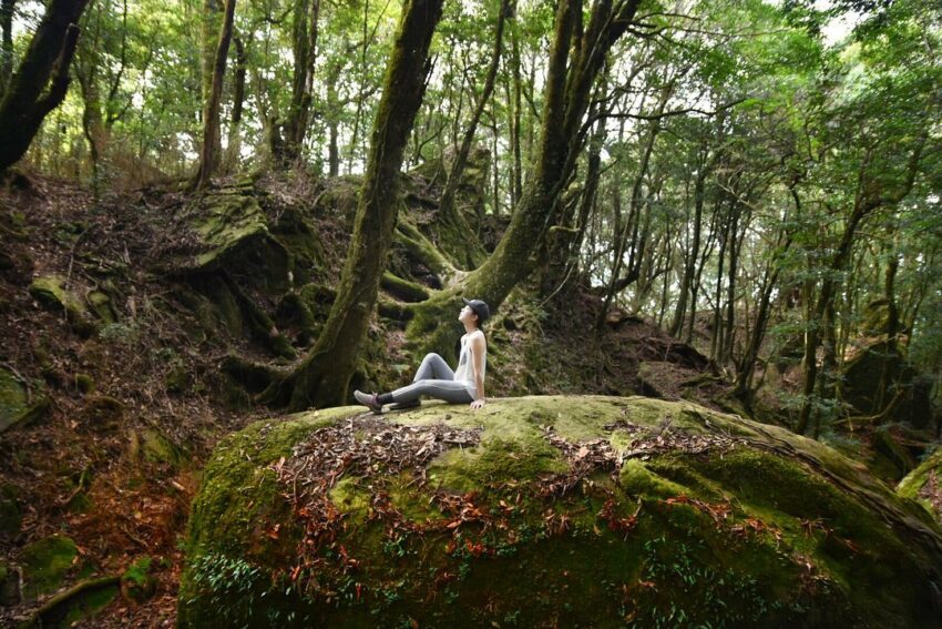 加里山