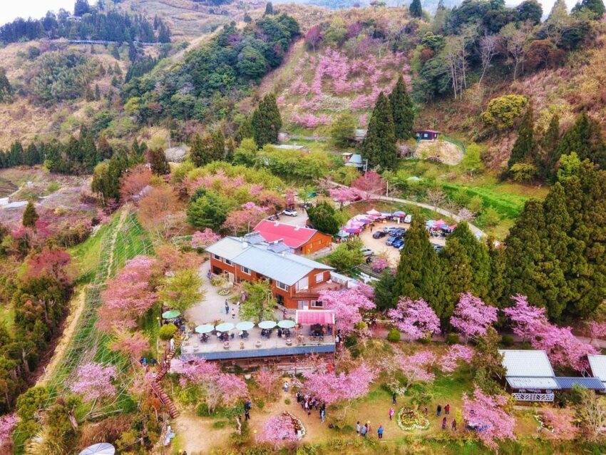 拉拉山住宿 精選6 間桃園拉拉山民宿 一起入住雲霧繚繞的山中仙境 好好玩台灣2021