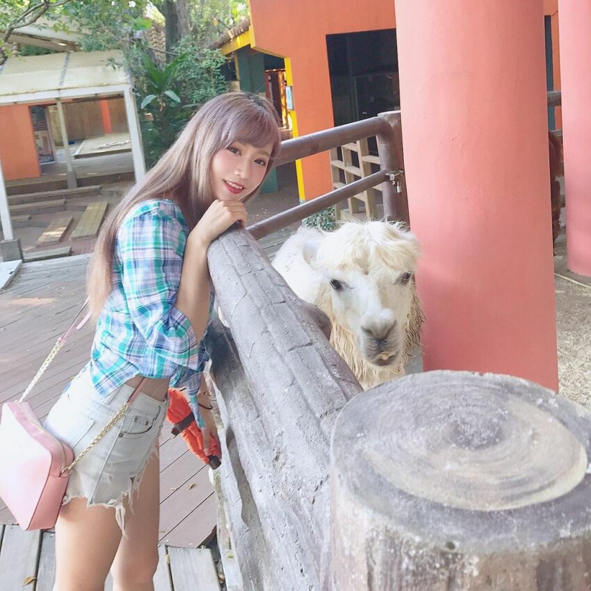 木柵動物園 兒童動物區