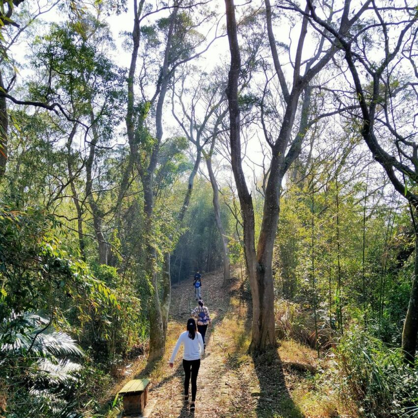 銅鏡山林步道