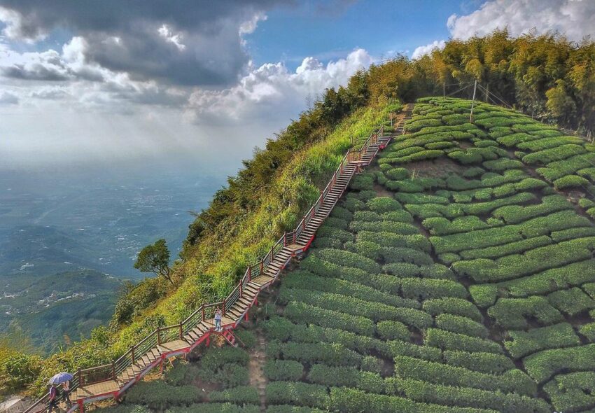 雲林登山步道_二尖山步道