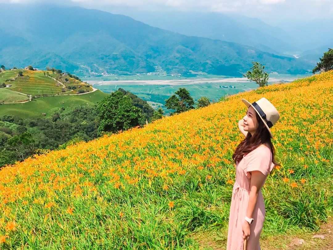 花蓮六十石山｜花蓮金針花季最新花況，富里花海景觀區最佳賞花時間，花蓮金針花賞花攻略 好好玩 Funit 2025 4150