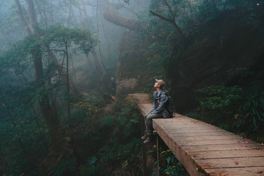 北得拉曼巨木步道