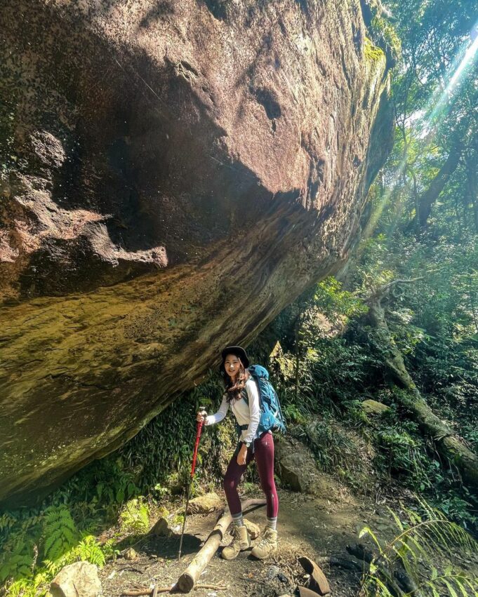 北得拉曼巨木步道